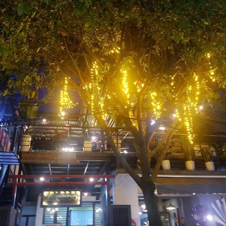 Codohomestay Garden Hue Dış mekan fotoğraf